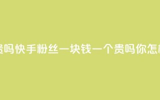 快手粉丝一块钱一个贵吗 - 快手粉丝一块钱一个贵吗你怎样看待这个价格？!