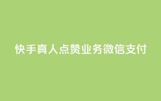 快手真人点赞业务微信支付,ks平台全网最低 - dy赞自助平台网站大表哥 - 24小时自助下单云小店