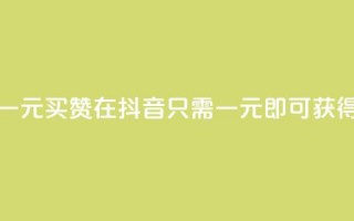 抖音这么一元买1000赞 - 在抖音，只需一元，即可获得1000赞！！