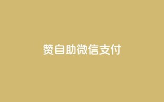 Ks赞自助微信支付,K歌免费涨1000粉丝 - 全网最低价业务平台快手业务 - 抖音涨粉有哪些app