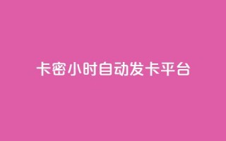 卡密24小时自动发卡平台 - 24小时卡密自动发卡平台 完美解决您的发卡需求!