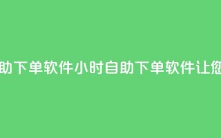 网红商城24小时自助下单软件 - 24小时自助下单软件，让您轻松网购！