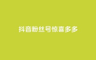 抖音粉丝号 惊喜多多.cn,粉丝增加软件 - 抖音巨量千川直播有收益吗 - 快手免费刷欢击