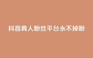 抖音真人粉丝平台 永不掉粉 - 增加社交影响力，稳定粉丝数量营销平台~