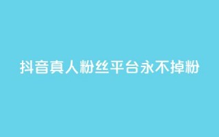 抖音真人粉丝平台 永不掉粉,ks买赞自助下单下载 - qq空间浏览量包括自己吗 - 刷qq好友网站