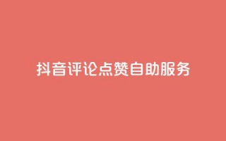 抖音评论点赞24自助服务,1元1000粉 下单平台 - 扣扣点赞 - 卡盟平台官网最新