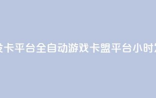 游戏卡盟24小时自动发卡平台 - 全自动游戏卡盟平台 24小时发卡服务体验~