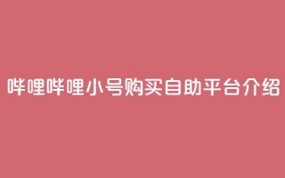 哔哩哔哩小号购买自助平台介绍