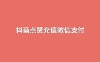 抖音点赞充值微信支付,刷qq好友网站 - 最便宜的货源批发网站 - qq会员自助下单商城