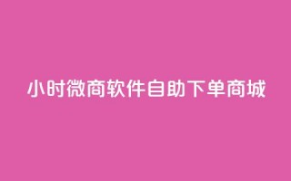 24小时微商软件自助下单商城,qq空间秒赞助手官网 - pubg卡盟 - qq空间访客多的女孩正不正经