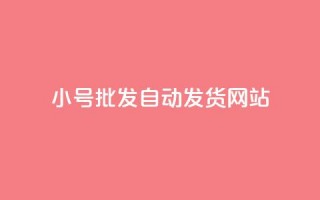 dy小号批发自动发货网站 - dy小号批发自动发货平台推荐~