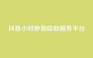 抖音24小时秒到自助服务平台,抖音云端商城黑科技项目 - 抖音1元100赞 - 抖音作品赞24小时平台