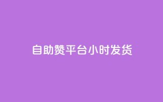 自助赞平台24小时发货,全网超低价24小时业务平台 - 在线卡盟平台 - 全网最低业务平台便宜快手