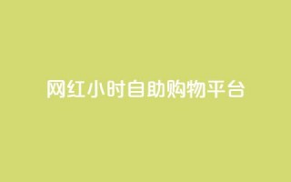 网红24小时自助购物平台 - 24小时网红自助购物平台：随时满足你的购物热情~