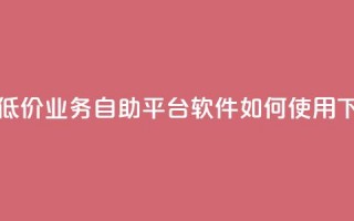 快手低价业务自助平台软件如何使用