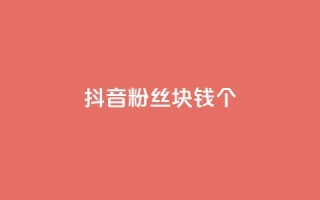 抖音粉丝1块钱10个 - 如何快速增加抖音粉丝数？。