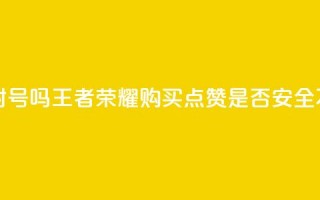 王者荣耀买赞不会封号吗 - 王者荣耀购买点赞是否安全不会被封号吗!