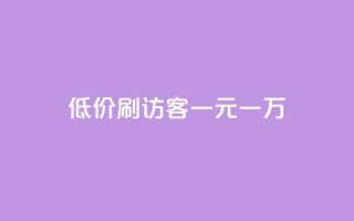 低价刷访客一元一万 - 超低价让您的网站访客数量翻倍，一元即可拥有一万真实用户！~