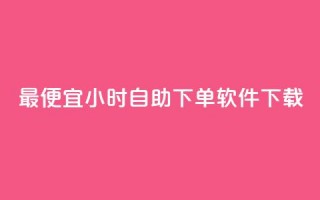 最便宜24小时自助下单软件下载,dy24小时自动下单平台 - 网红助手的售后服务 - 抖音粉丝增加业务