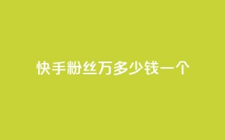 快手粉丝4万多少钱一个 - 快手4万粉丝价格多少？！