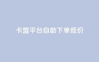 卡盟平台自助下单低价 - 自助下单低价卡盟平台助你轻松购卡！