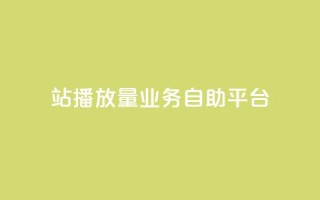 b站播放量业务自助平台 - B站推出自助平台助力播放量提升~