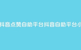 二十四小时抖音点赞自助平台(抖音自助平台24小时点赞服务)