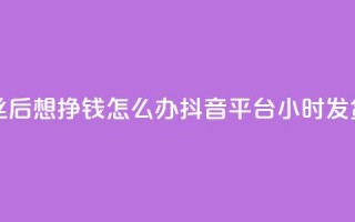 快手1万丝后想挣钱怎么办 - 抖音平台24小时发货