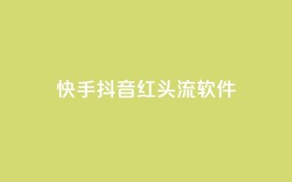 快手抖音红头流软件 - 点购买平台