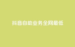 抖音自助业务全网最低,网红助手平台哪个好用 - ks云小店24小时自助下单 - 梓豪网络24小时下单流程详解