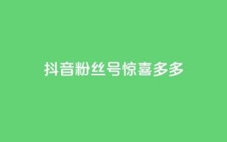 抖音粉丝号 惊喜多多.cn,低价Ks101000赞 - 快手热门助手下载 - KS一毛一千赞