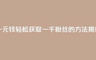 一元钱轻松获取一千粉丝的方法揭秘