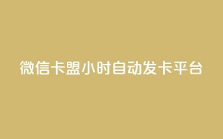 微信卡盟24小时自动发卡平台 - 微信卡盟：稳定发卡平台  24小时自动发卡，快速、便捷的购卡体验。