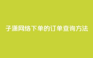 子潇网络下单的订单查询方法 - 子潇网络订单查询方法详解!