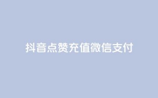 抖音点赞充值微信支付 - 抖音点赞充值支持微信支付全攻略。