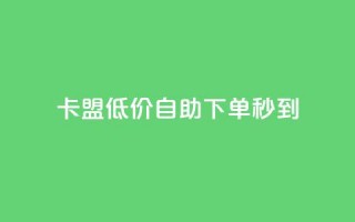 卡盟低价自助下单秒到 - 极速到账！卡盟低价自主下单等您来！~