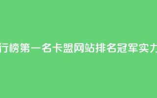 卡盟网站排行榜第一名 - 卡盟网站排名冠军，实力惊人~