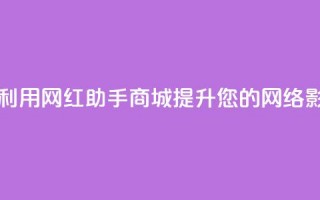 如何利用网红助手商城提升您的网络影响力