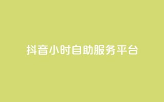 抖音24小时自助服务平台,qq空间访客增加 - 快手热门助手软件 - qq主页点赞怎么能上十万