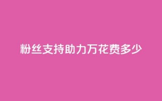 粉丝支持助力 100万，花费多少？