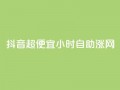 抖音超便宜24小时自助涨网,低价抖音业务网 - 24小时全网最低价 - 0元免费刷ks