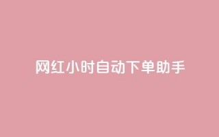 网红24小时自动下单助手 - 网红全天候自动下单助手助你轻松购物。