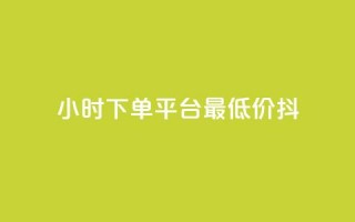 24小时下单平台最低价抖,dy业务自动下单网站 - 快手人气自助网站 - 王者荣耀主页赞自助平台