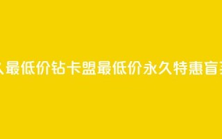 qq刷钻卡盟永久最低价 - QQ钻卡盟最低价永久特惠，盲买无忧~