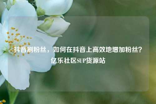 抖音刷粉丝	，如何在抖音上高效地增加粉丝？亿乐社区SUP货源站  第1张
