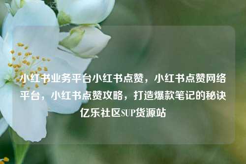 小红书业务平台小红书点赞	，小红书点赞网络平台，小红书点赞攻略，打造爆款笔记的秘诀亿乐社区SUP货源站  第1张