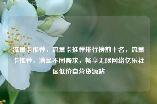 流量卡推荐	，流量卡推荐排行榜前十名，流量卡推荐，满足不同需求	，畅享无限网络亿乐社区低价自营货源站  第1张