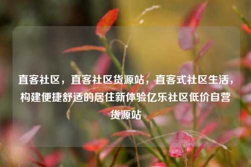 直客社区，直客社区货源站	，直客式社区生活，构建便捷舒适的居住新体验亿乐社区低价自营货源站  第1张